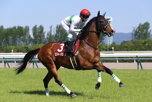 ダービー2019予想！大穴ロジャーバローズ狙いで逝く！ | 浅次郎の